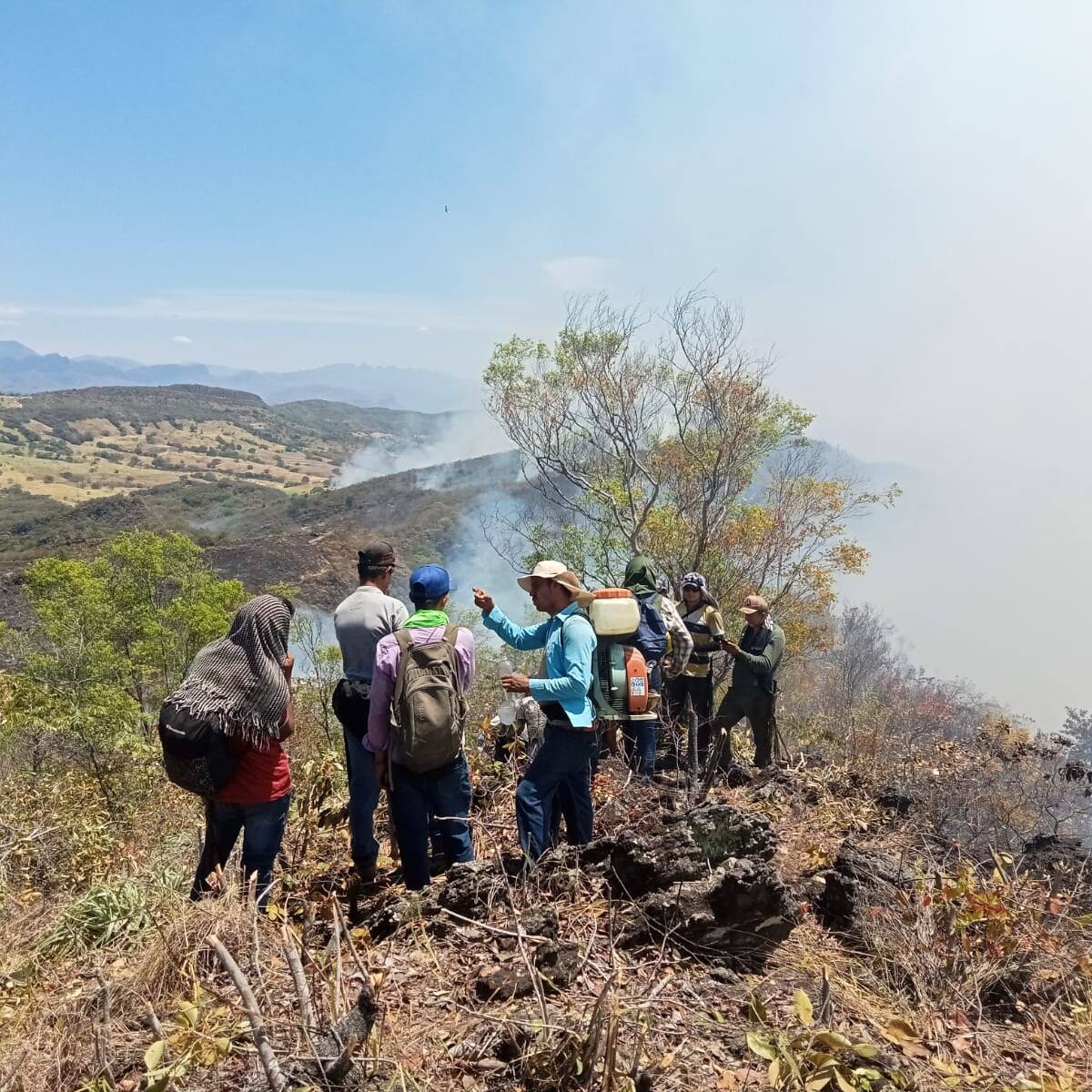 Incendios forestales en Palermo deja perdidas, pero también unión humana