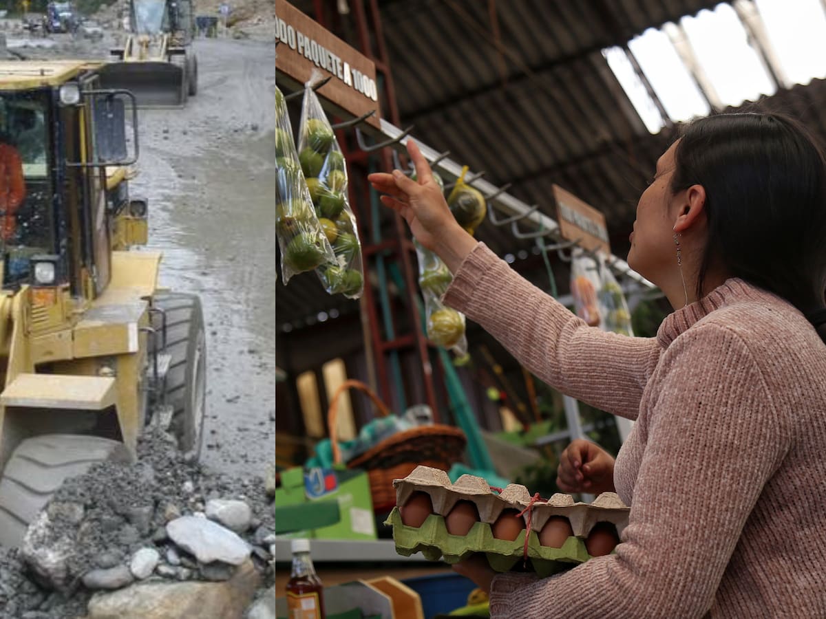 Alimentos han triplicado su valor por cierre de la vía al Llano: Corabastos