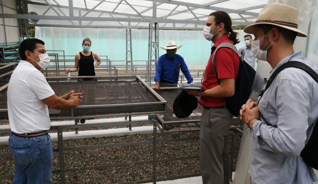 En la actualidad, se adelantan proyectos de cacao sostenible en el departamento