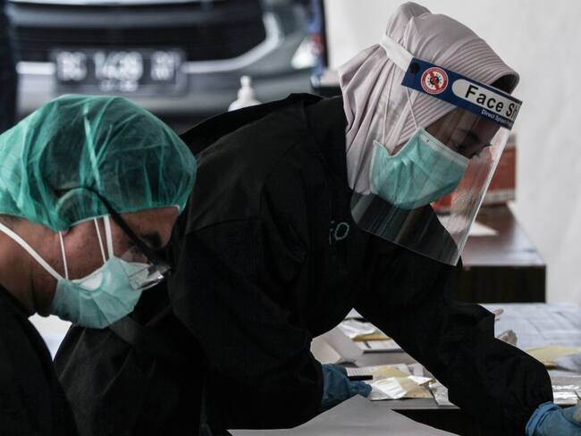 Descubren anticuerpos que bloquean infección de la COVID-19 en las células