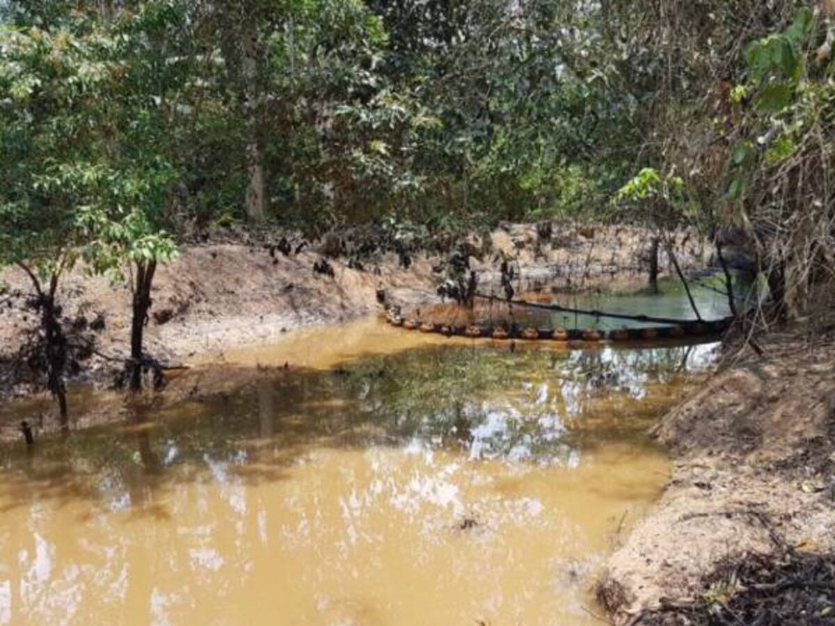 Sigue el afloramiento de petróleo crudo en el pozo Lizama 158: Anla