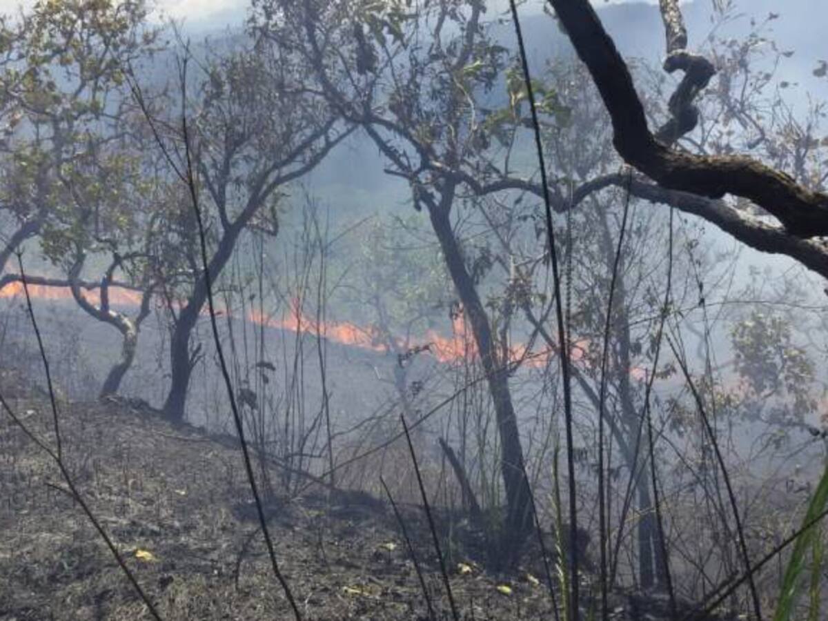 Alerta por incendios en 24 municipios del Tolima