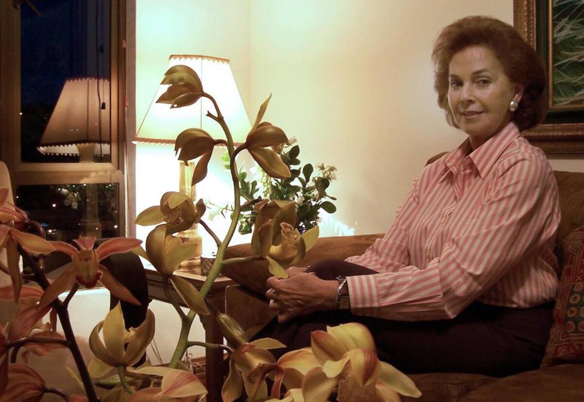 Título de la imagen