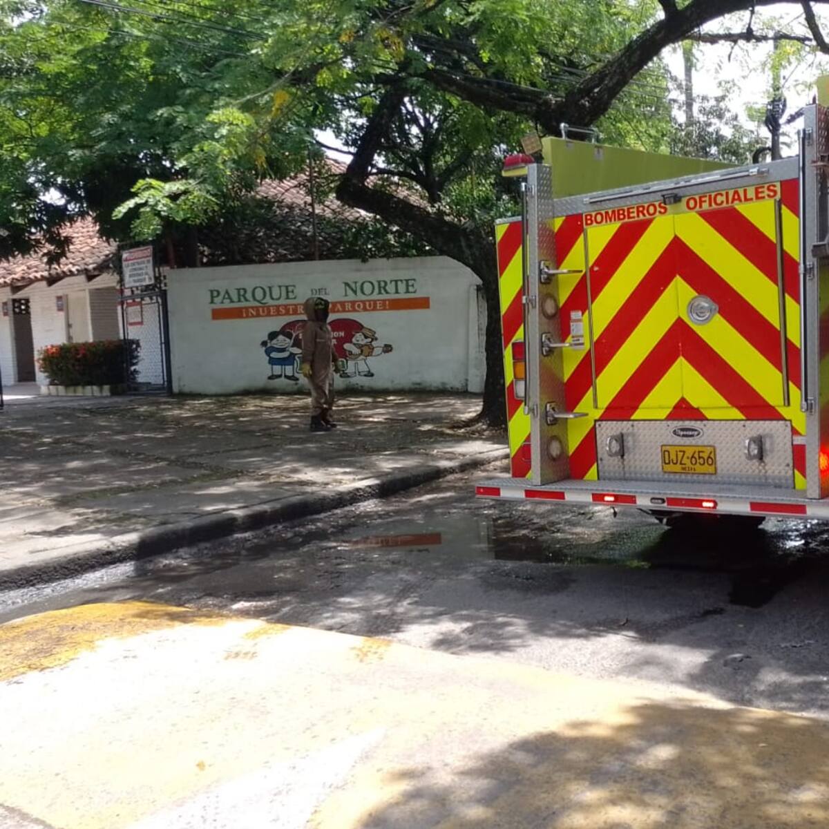 Ataque de abejas dejó siete personas afectadas en el Club del Norte de Neiva