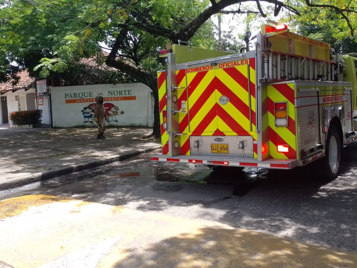 Ataque de abejas dejó siete personas afectadas en el Club del Norte de Neiva