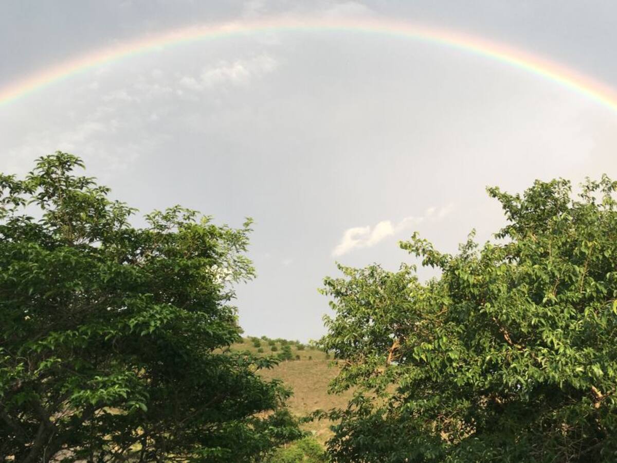 El futuro del campo no es solo la tecnología: cultivador en Tocaima