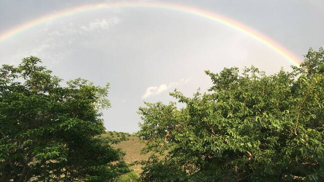Finca San Gregorio, vereda Capotes, en Tocaima, Cuindinamarca