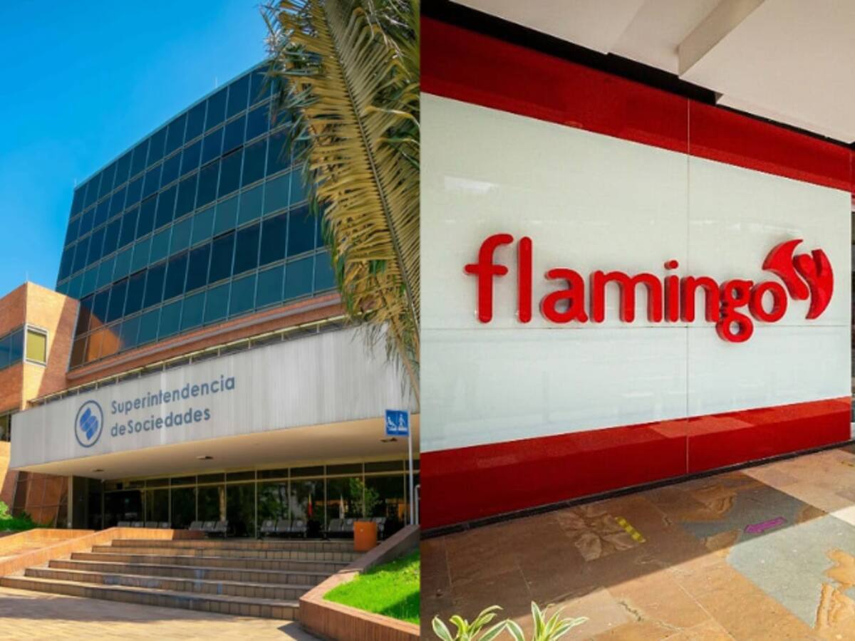 Superintendencia de Sociedades valida el acuerdo de reorganización de Almacenes Flamingo