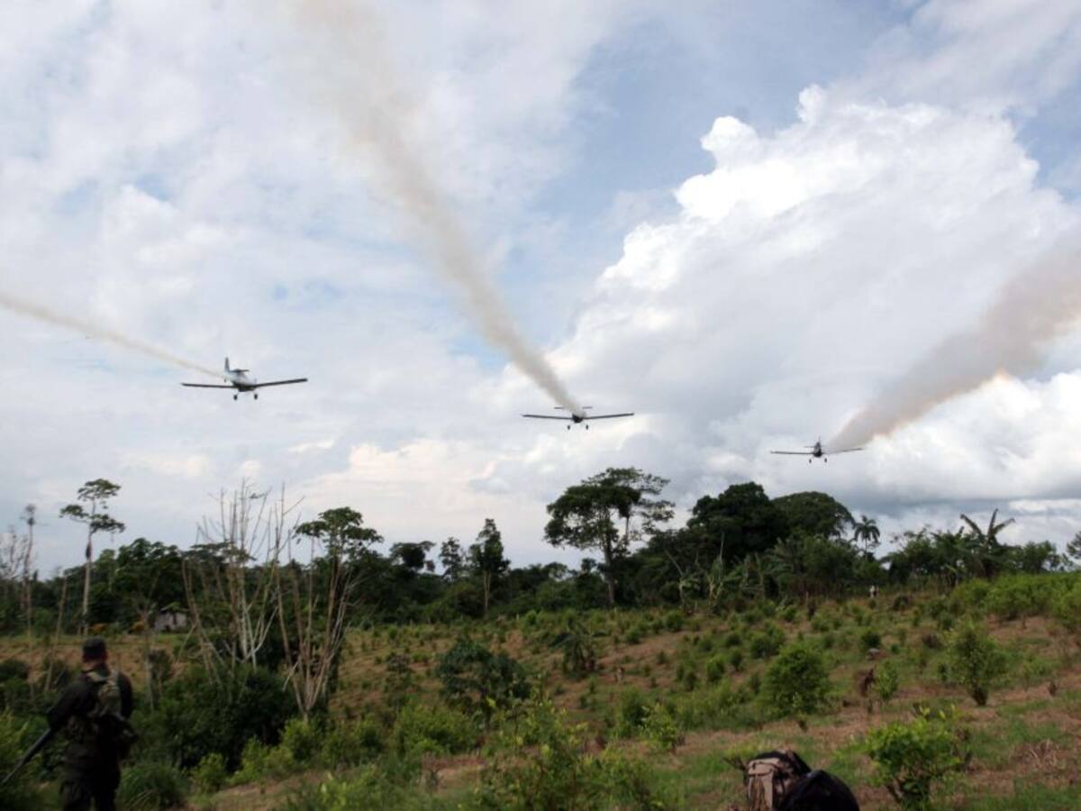 Anla dio visto bueno a la aspersión aérea con glifosato en Colombia