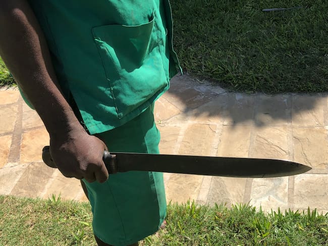 Machete imagen de referencia. Foto: Getty Images.