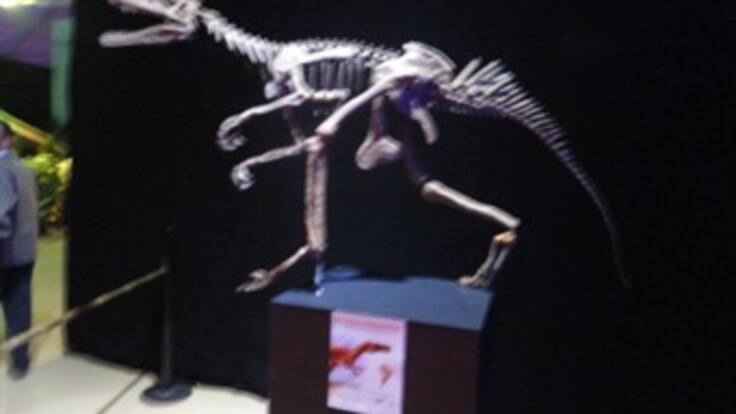 Los dinosaurios más antiguos del mundo están en Colombia