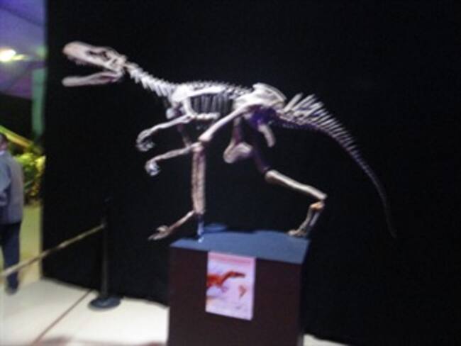 Los dinosaurios más antiguos del mundo están en Colombia