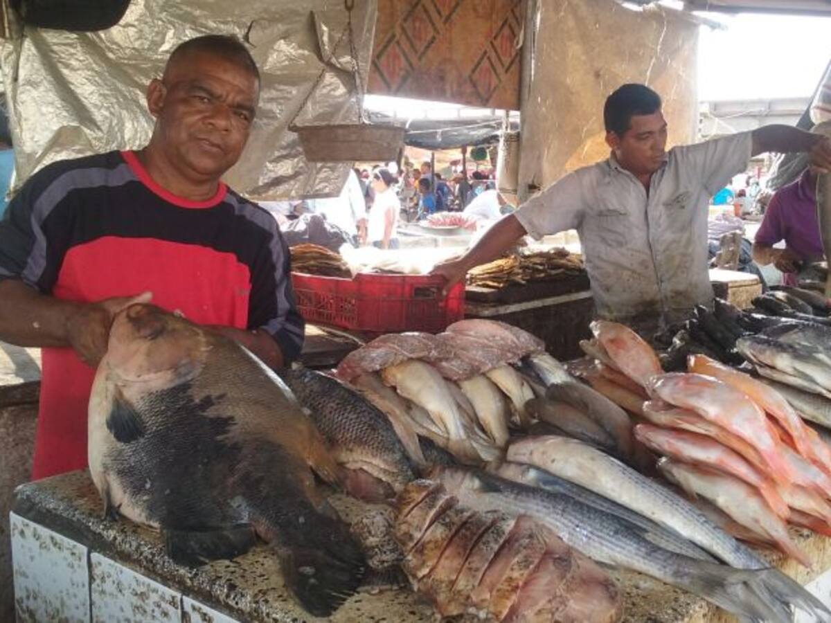 Precio en pescados se ha sostenido en Semana Santa