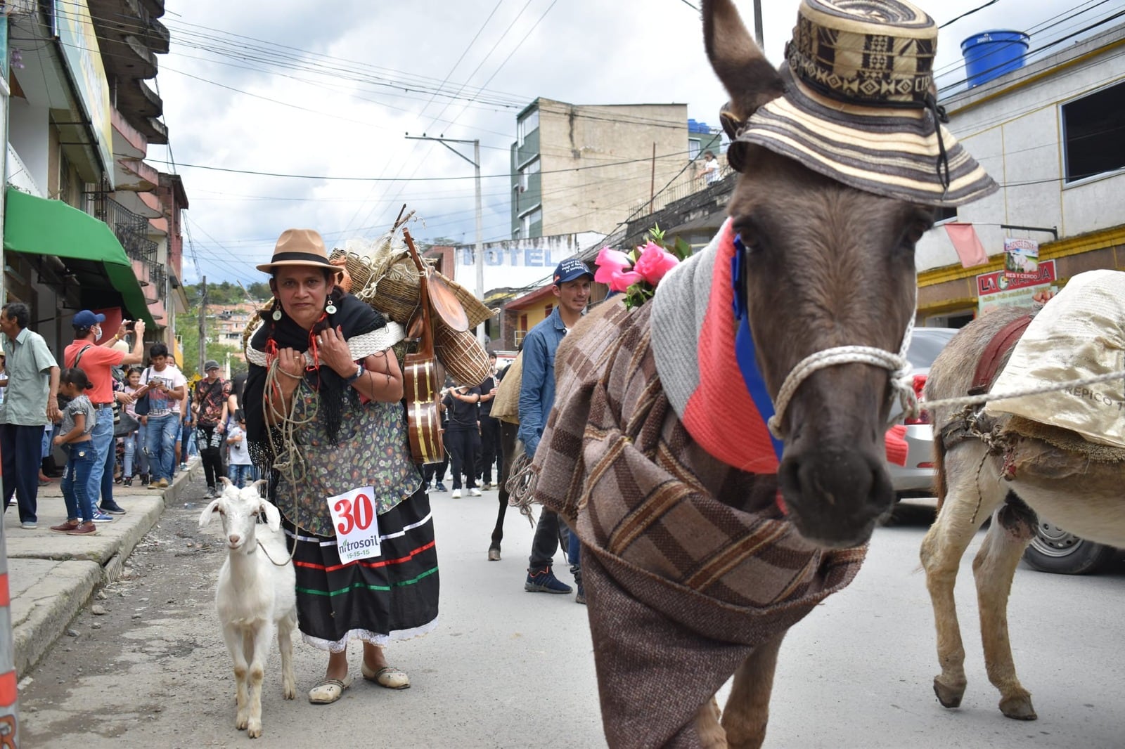 Décimo novena edición del Concurso Regional del Burro, una de las festividades más tradicionales, divertidas y representativas de la cultura campesina
