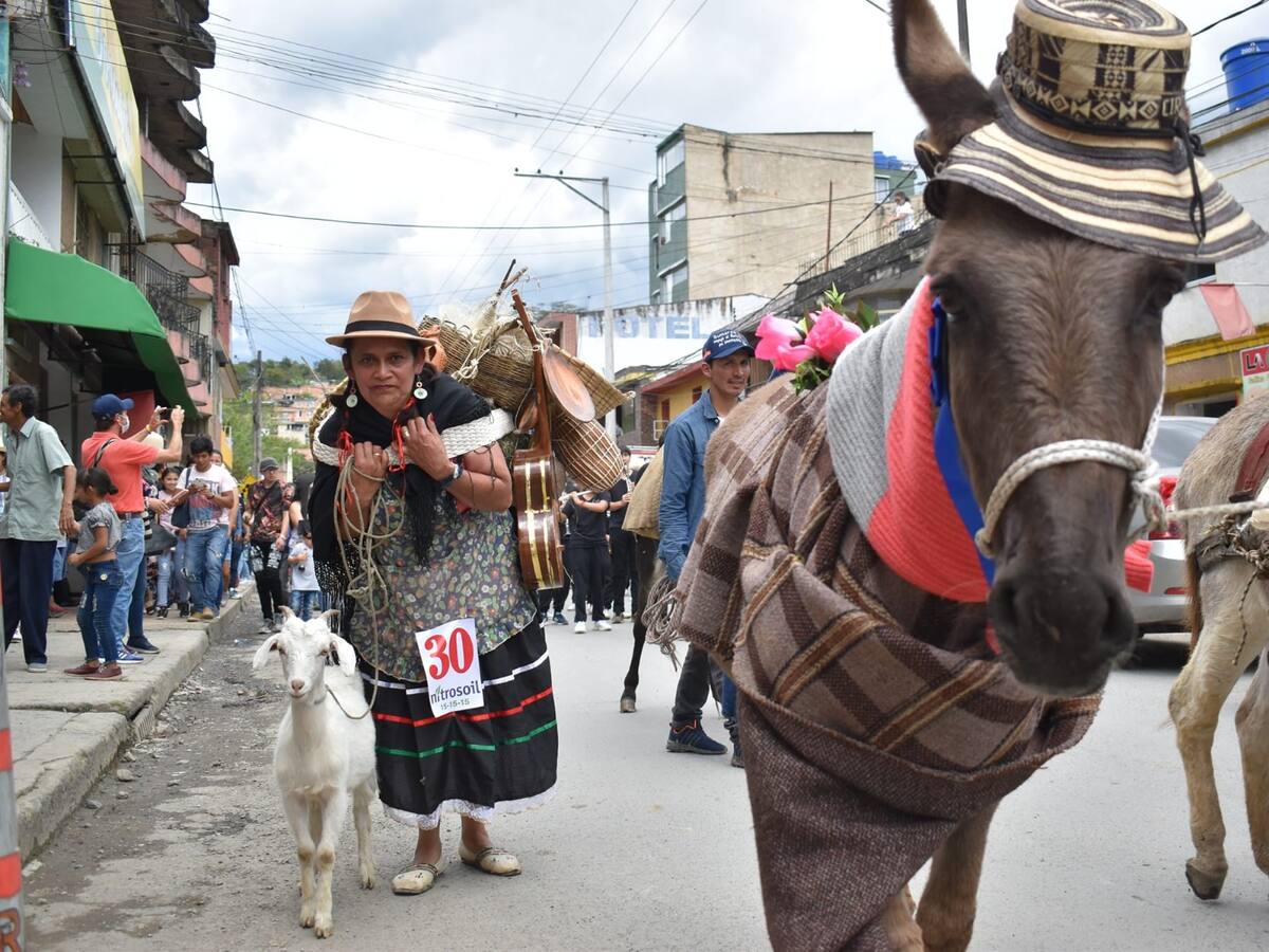 Moniquirá celebra este fin de semana la edición 19 del Concurso Regional del Burro
