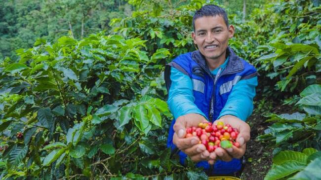 Formalización de tierras a cafeteros