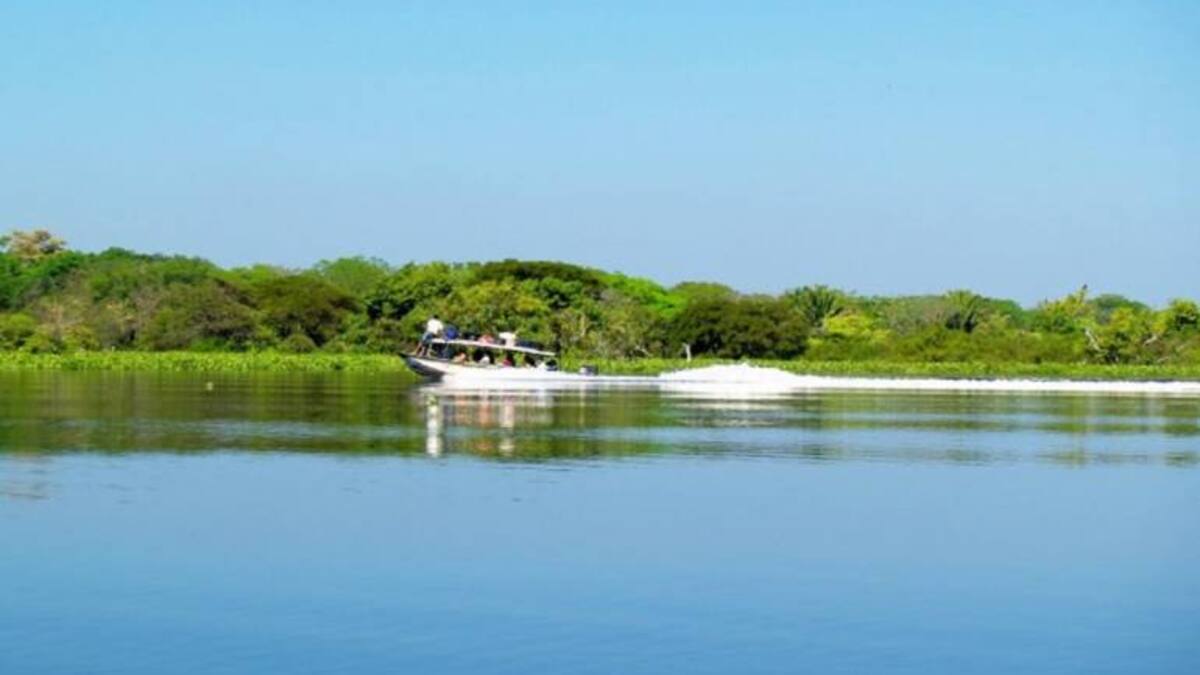 Con $900 millones buscan proteger la Ciénaga de Zapatosa en el Caribe Colombiano