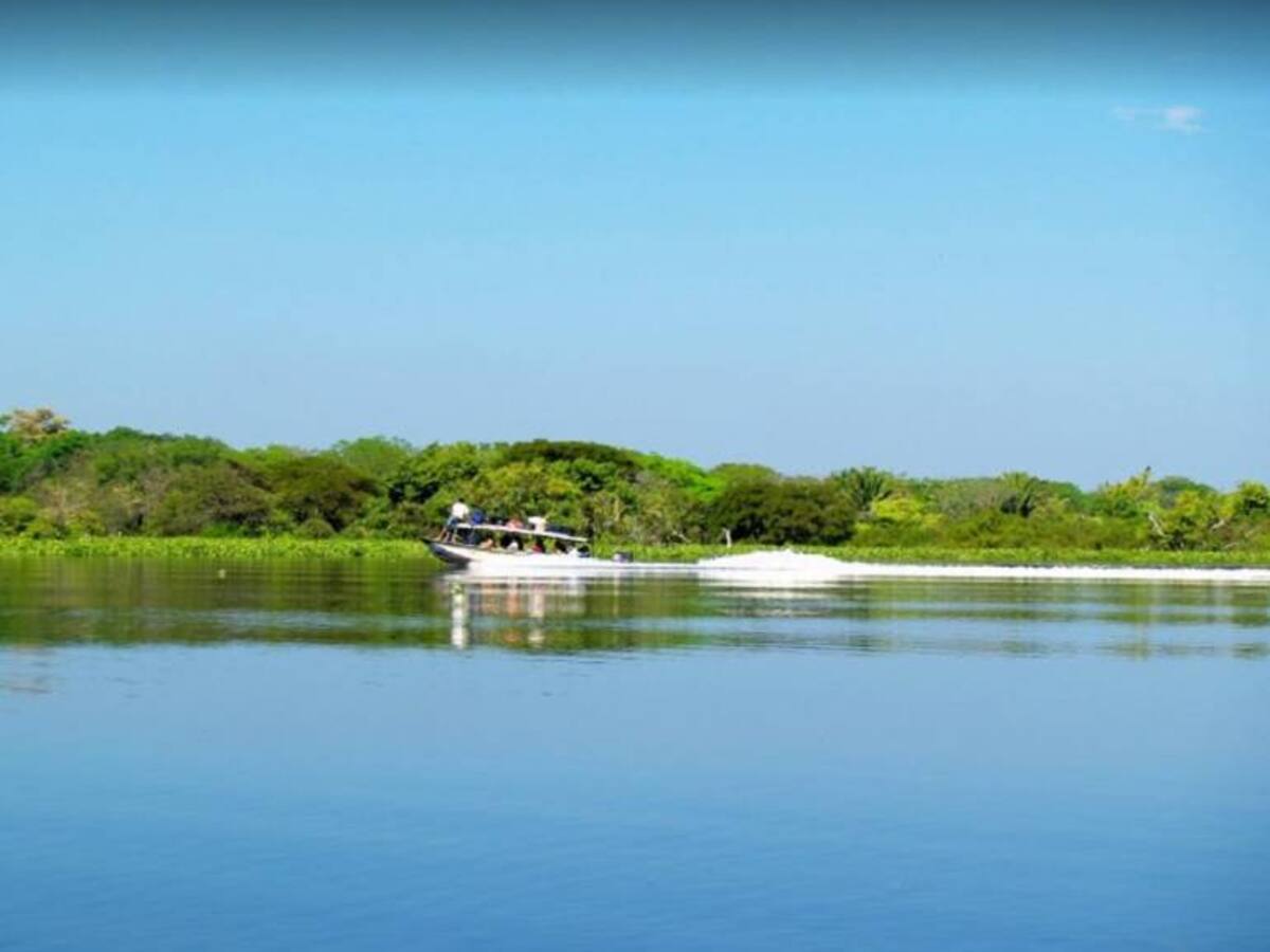 Con $900 millones buscan proteger la Ciénaga de Zapatosa en el Caribe Colombiano