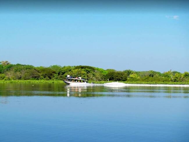 Ciénaga de Zapatosa. Fotografía Google Maps