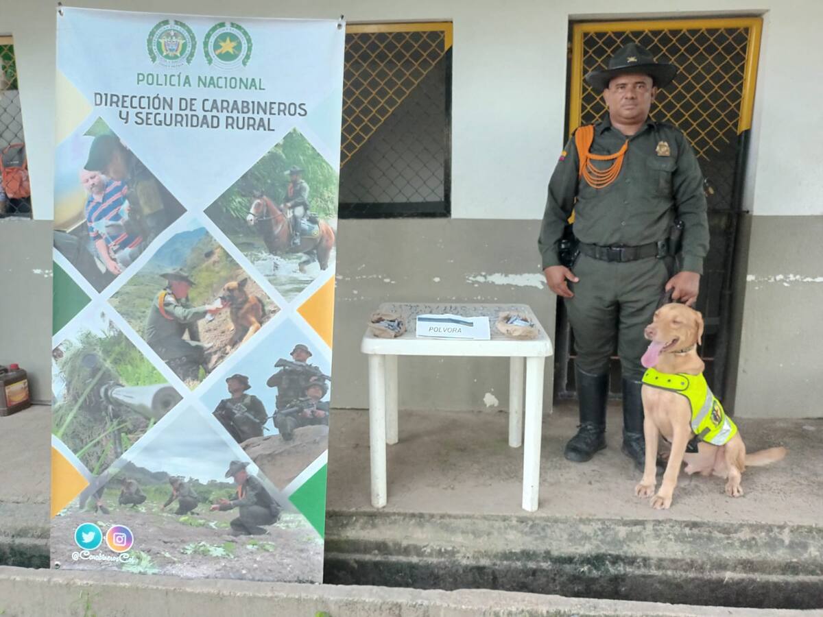 ‘Lukas’: declarado el ‘perro antipólvora’ de Magangué en Bolívar