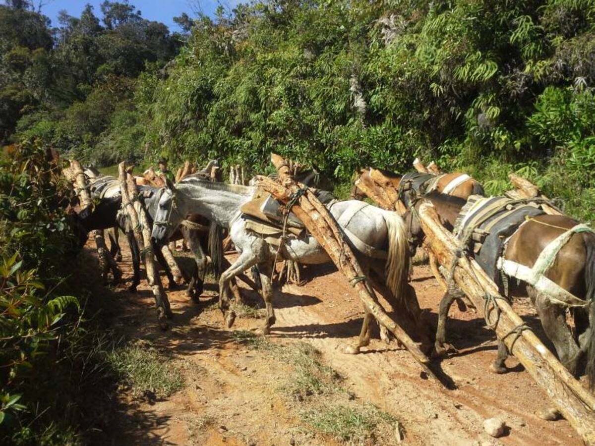 Habrá acto de reconocimiento y perdón a víctimas de La Chinita