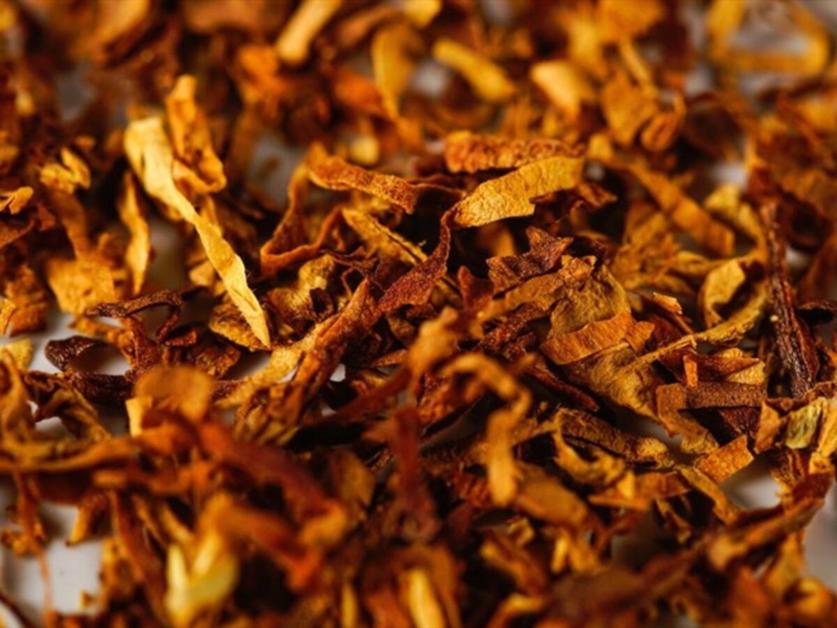 Tienda de la Empatía abre la puerta a la exportación de tabaco