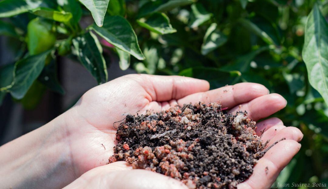 Secretaria de Agricultura del Huila hace seguimiento a denuncias sobre fertilizantes adulterados, vendidos en más de cinco municipios de esta región.