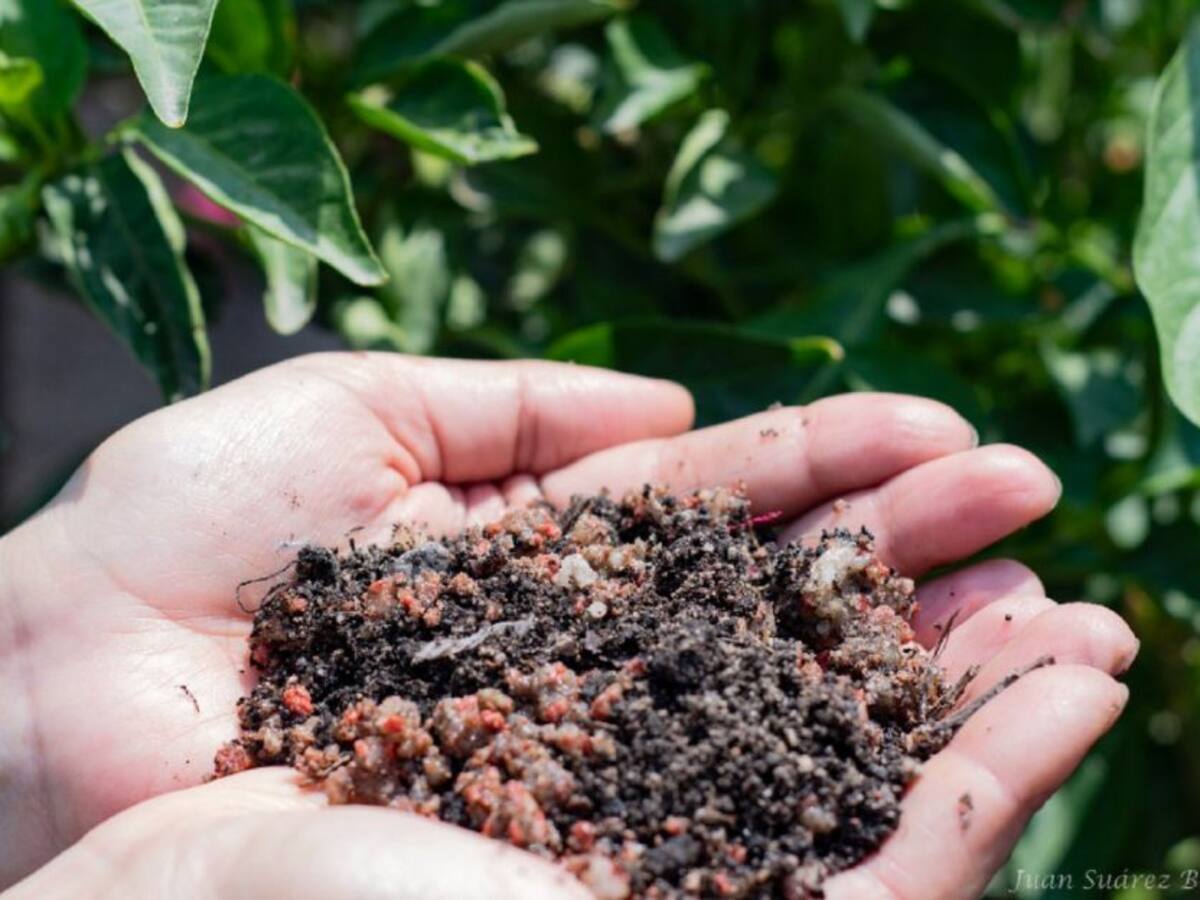 Fertilizantes vendidos a campesinos en el Huila estarían adulterados