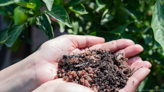 Secretaria de Agricultura del Huila hace seguimiento a denuncias sobre fertilizantes adulterados, vendidos en más de cinco municipios de esta región.