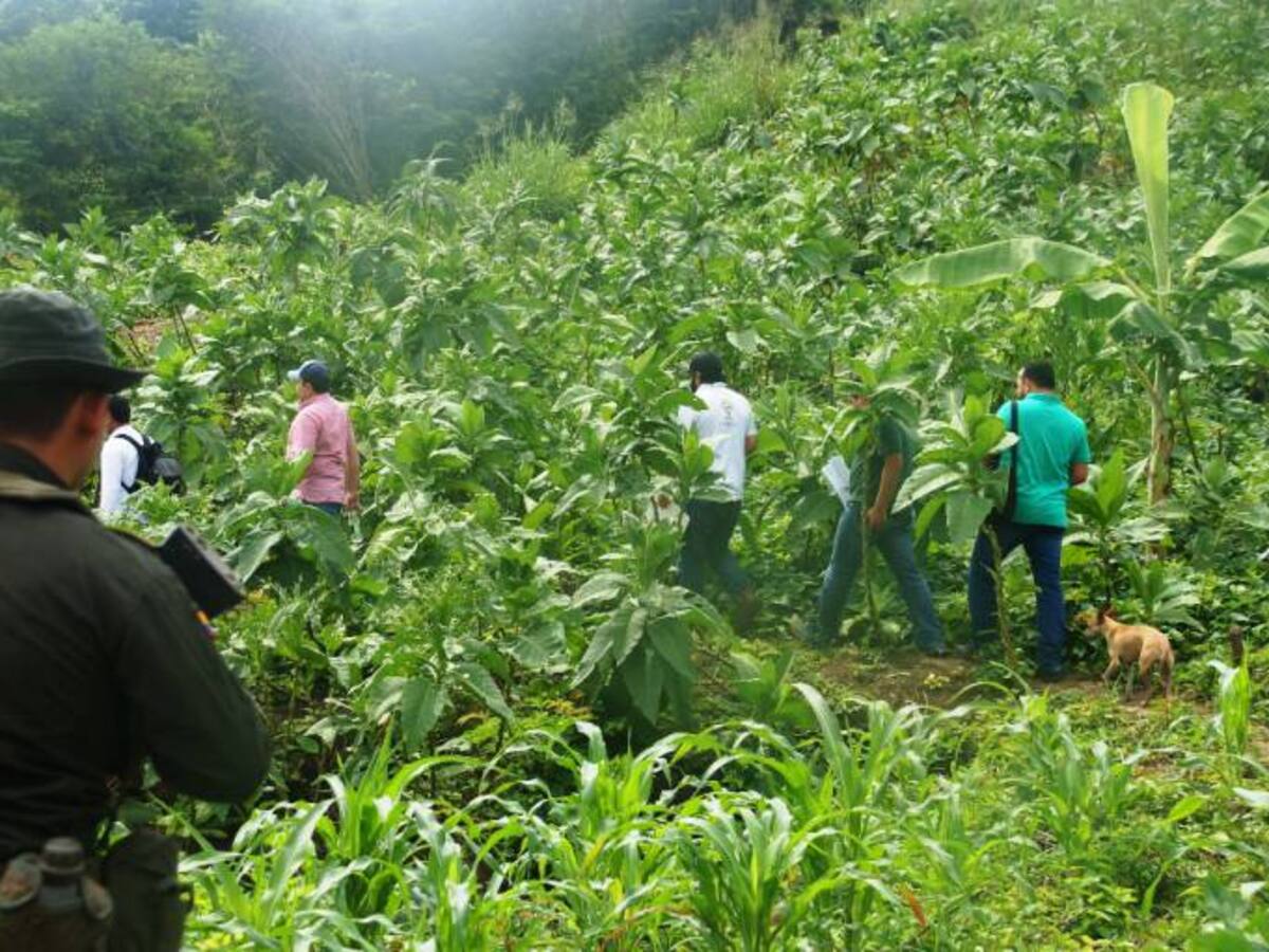 Contraloría General visitó campesinos de Bolívar con restitución de tierras