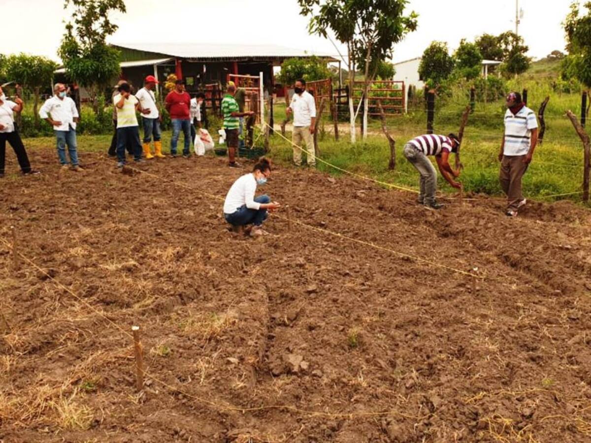 Cardique avanza con las capacitaciones a ganaderos de Bolívar