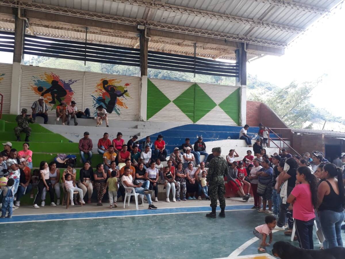 Más de 900 desplazados por combates en Argelia, Cauca