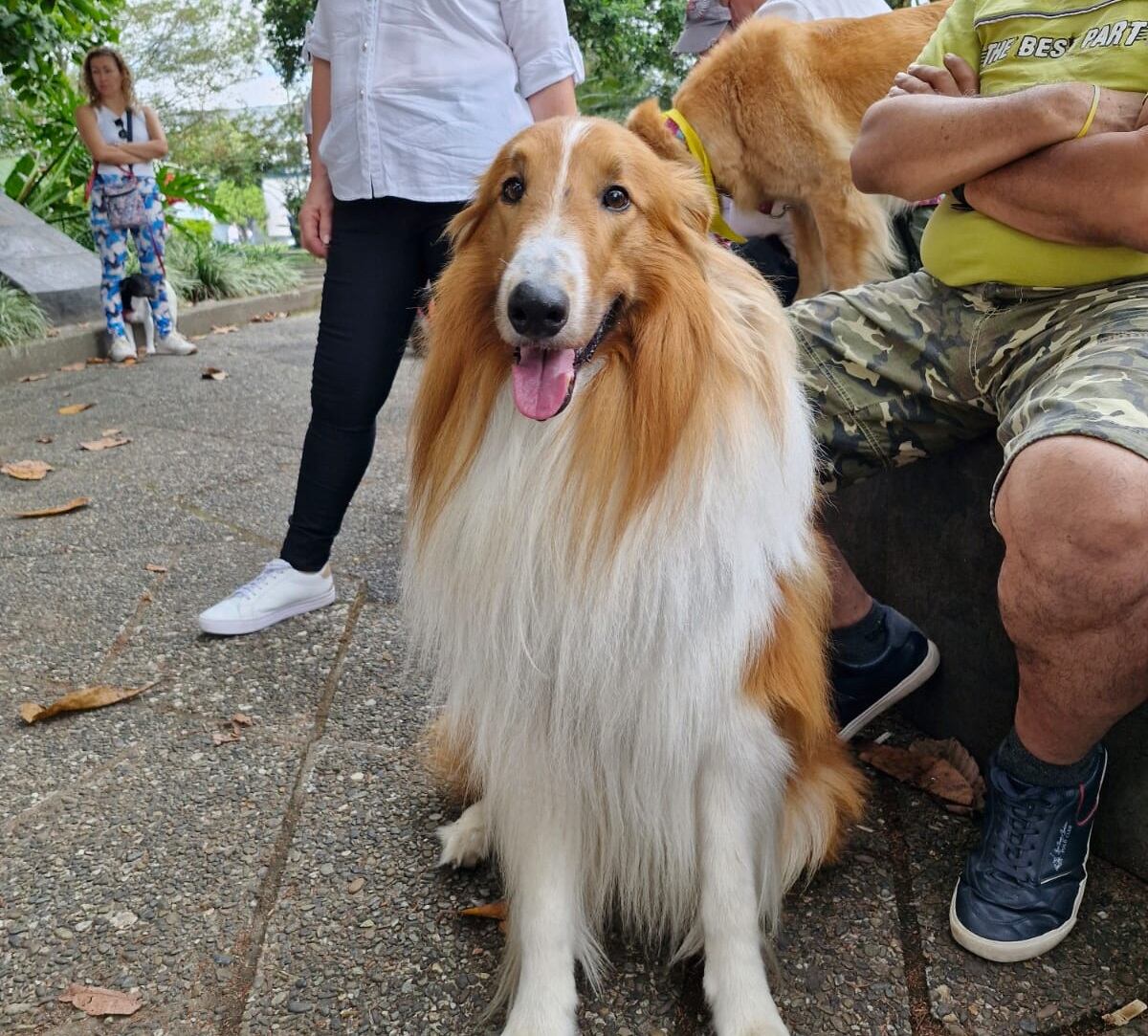 Día mundial de loa animales. Foto: Cortesía Tropicana Armenia