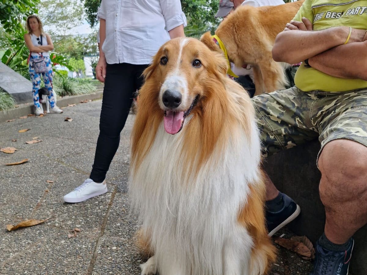 Viernes 4 de octubre, las noticias más importantes de Armenia y Quindío