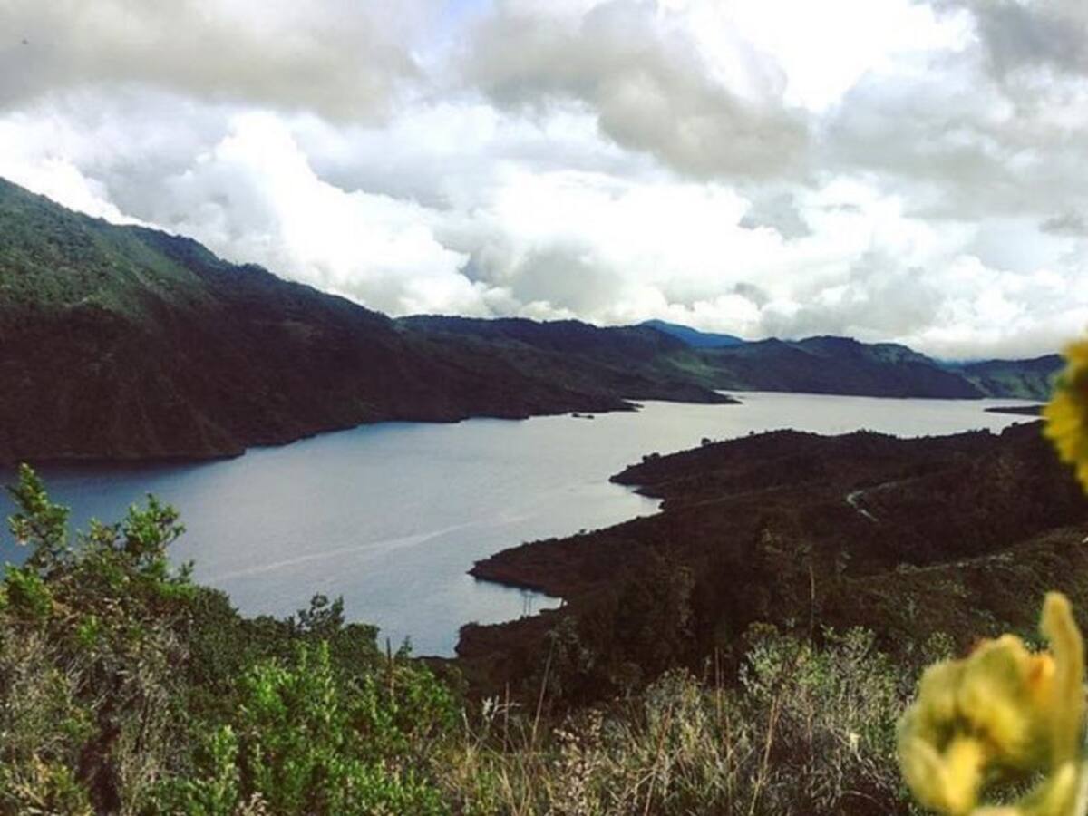 Bogotá celebrará la semana ambiental desde casa