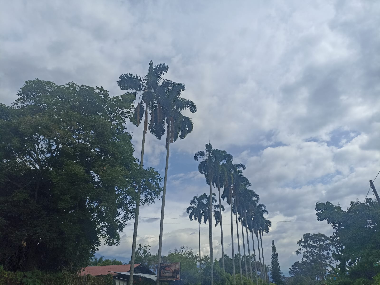 Hermosos paisajes del Quindío en día de tiempo seco. Foto: Adrián Trejos