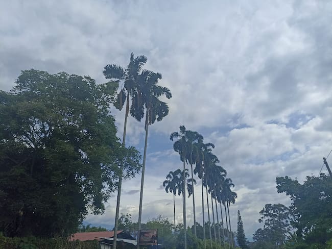 Hermosos paisajes del Quindío en día de tiempo seco. Foto: Adrián Trejos