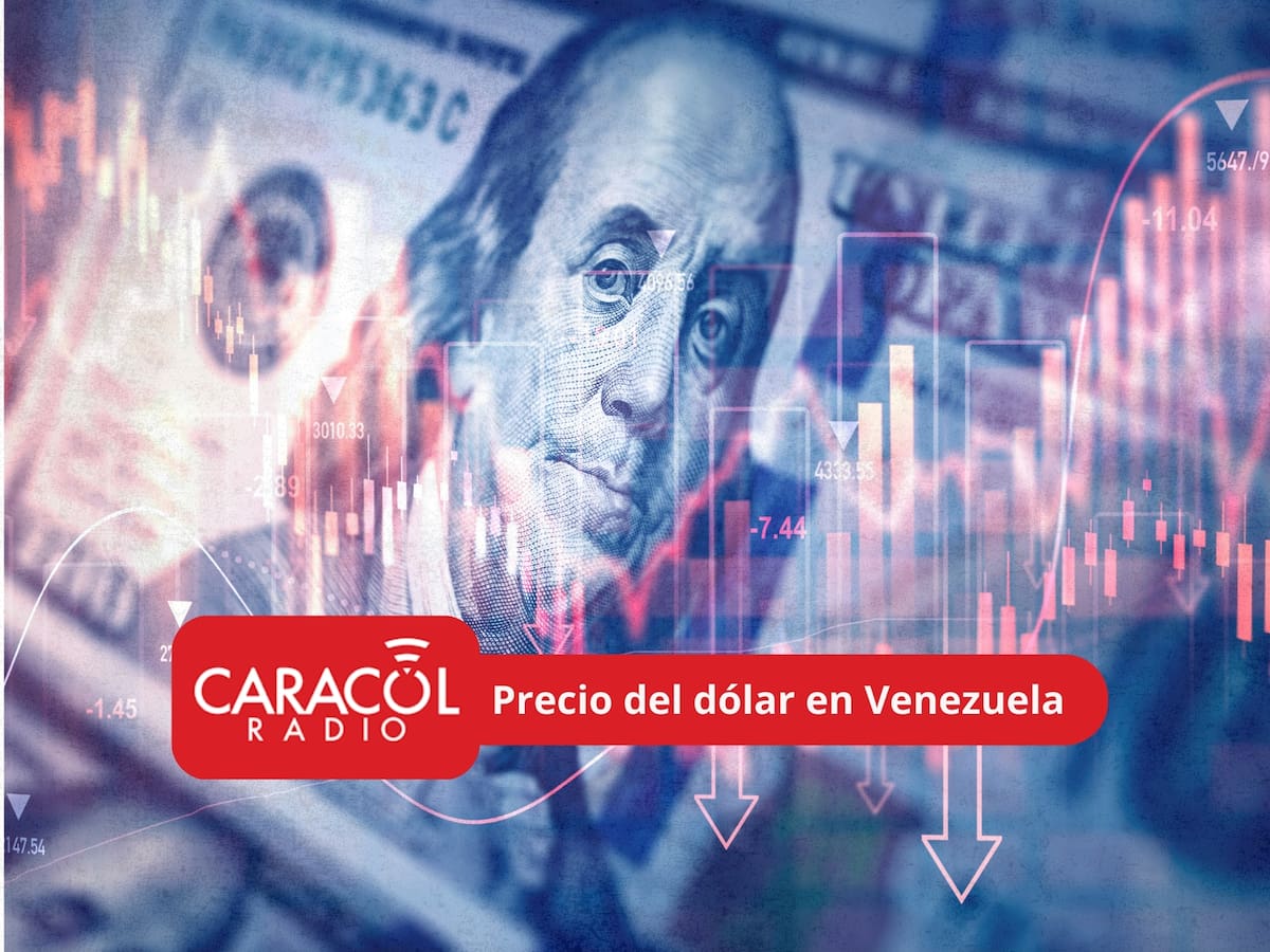 Precio del dólar en Venezuela para HOY 19 de febrero de 2026: Leve aumento en las cotizaciones