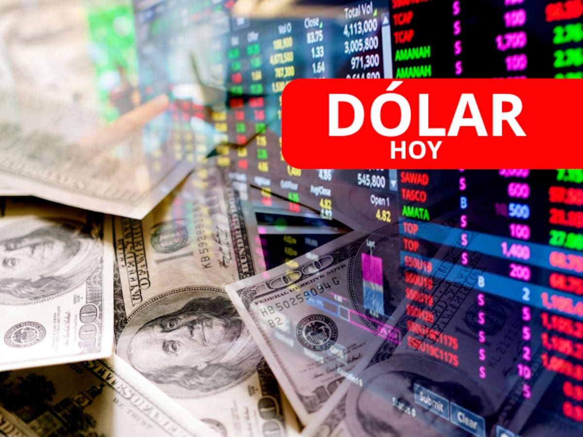 ¿Subió? Precio del dólar hoy 8 de agosto en Colombia: tasa de cambio después del festivo