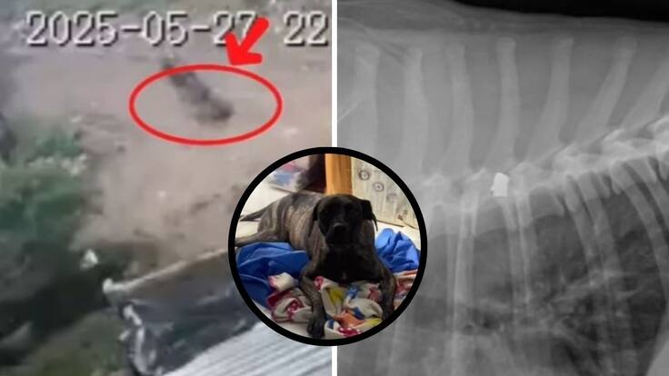 Nayive Mejía, residente del barrio Villa Carmelo