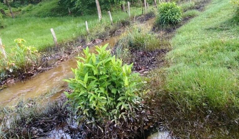 La situación se registró en la zona rural de Tibú