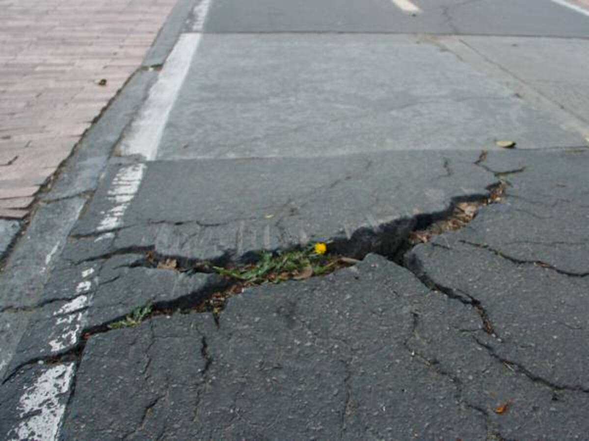 Es crítico el estado de las ciclorrutas de Bogotá: Universidad Libre