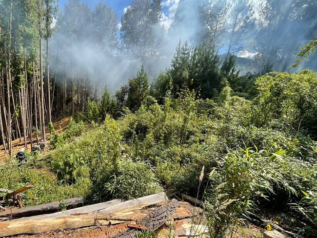 Cundinamarca registró 10 incendios forestales: Chía, Zipaquirá y Tocaima los más afectados