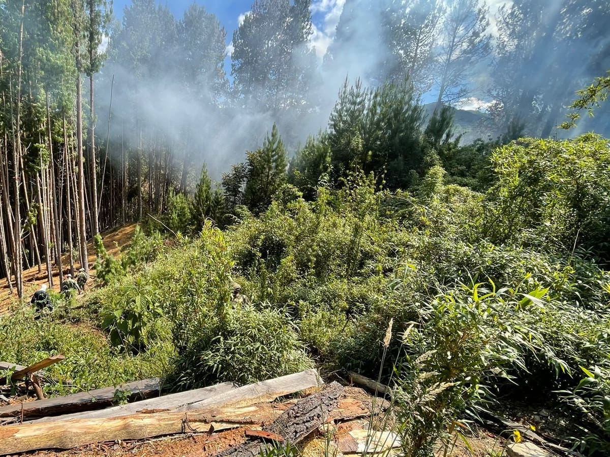 Cundinamarca registró 10 incendios forestales: Chía, Zipaquirá y Tocaima los más afectados