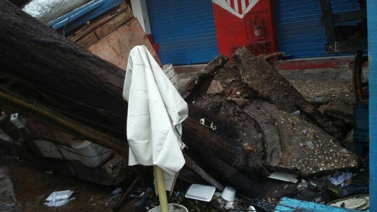Uno de los árboles caídos por los fuertes vientos en el centro de Barranquilla