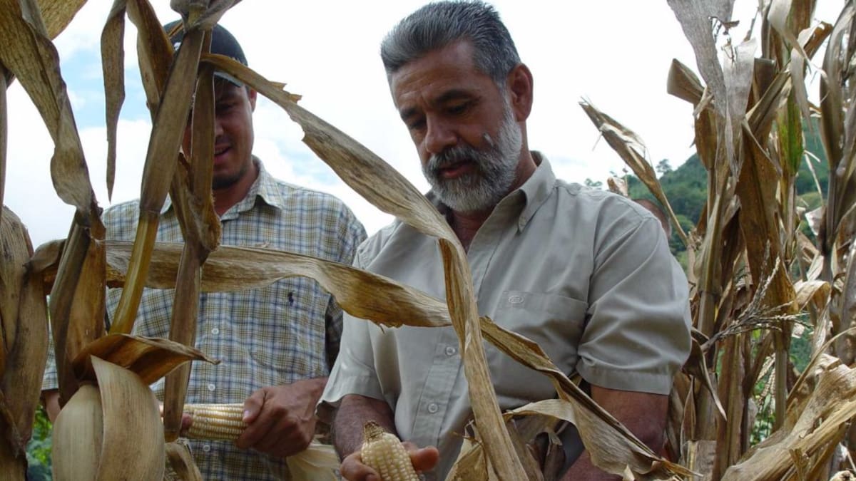 El Magdalena contará con un plan de manejo para el control de plagas