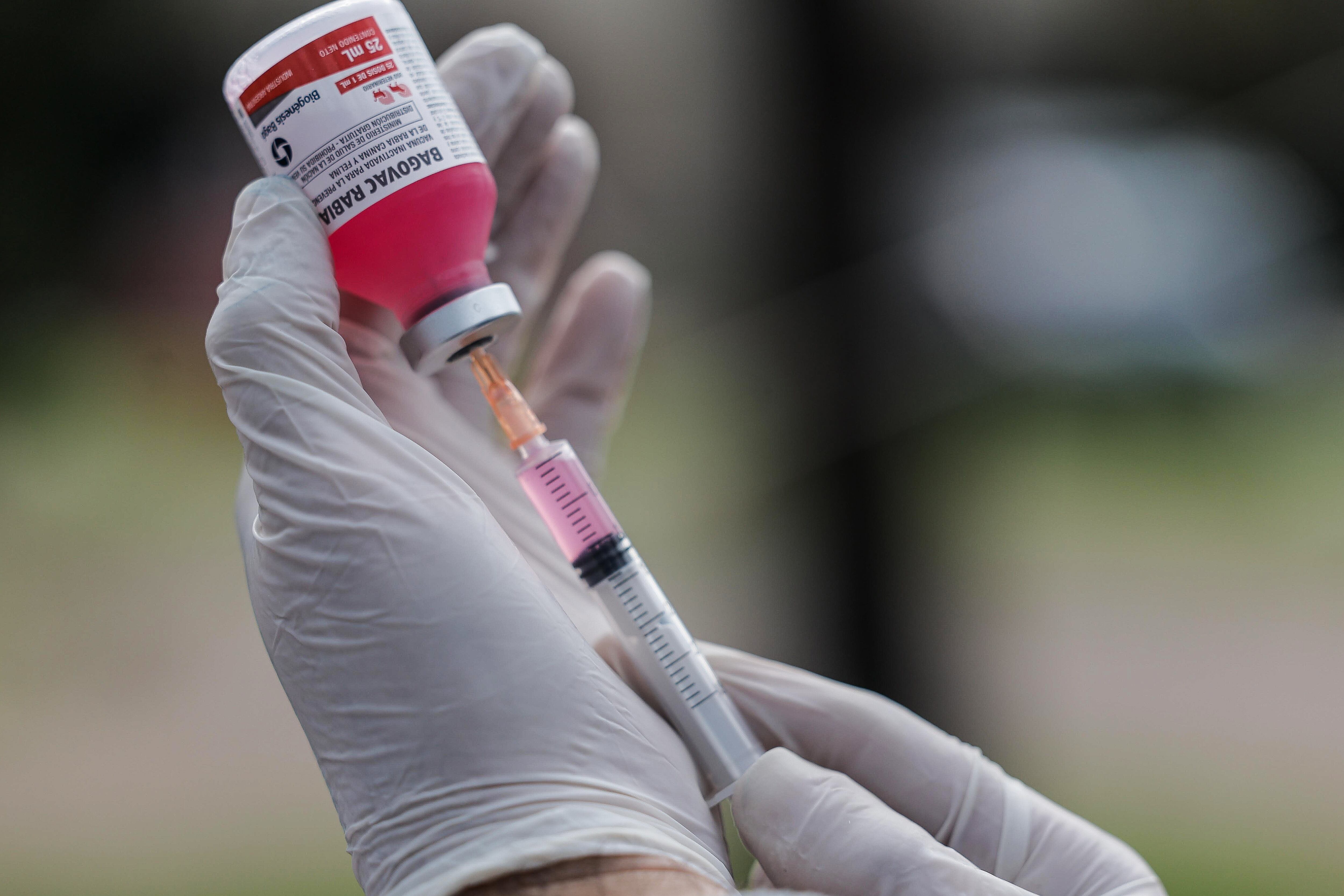 Imagen de referencia. / EFE/ Juan Ignacio Roncoroni.