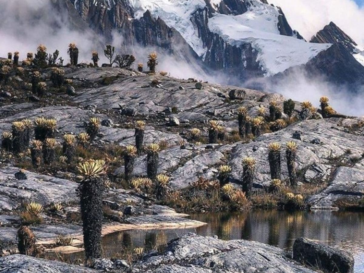 Cierre del Parque El Cocuy: La posición del pueblo U’wa