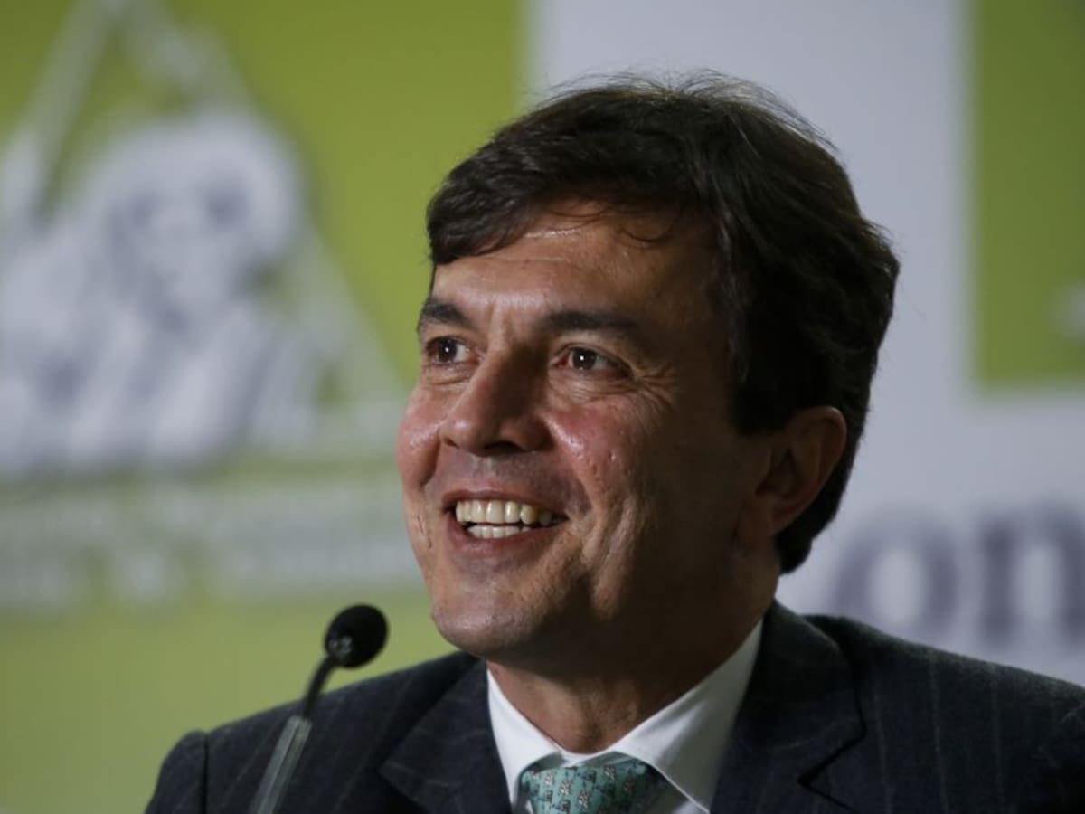 “El Tolima tiene todo para ser el segundo productor”: Gerente FedeCafé