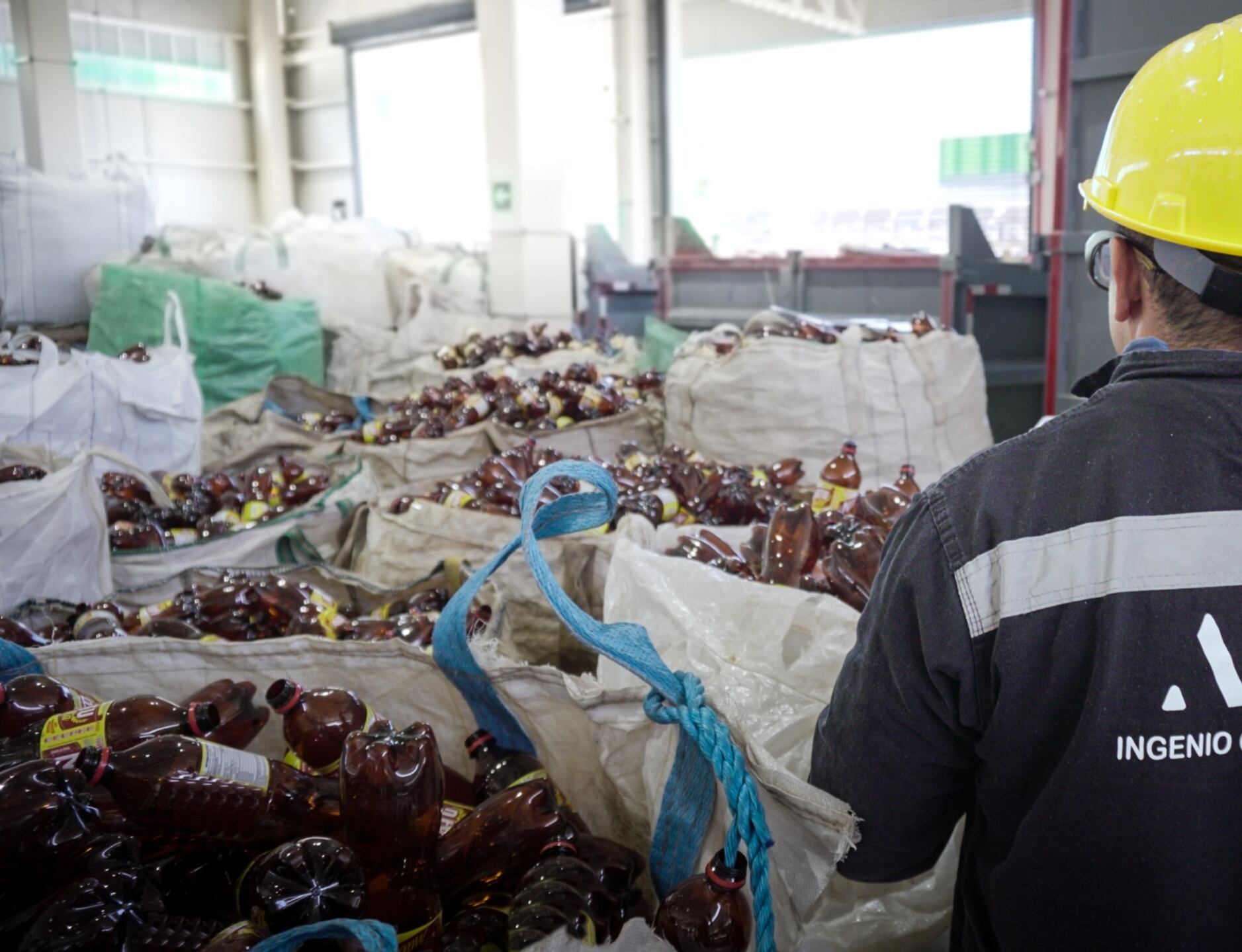 Día mundial del reciclaje, recomendaciones para reciclar